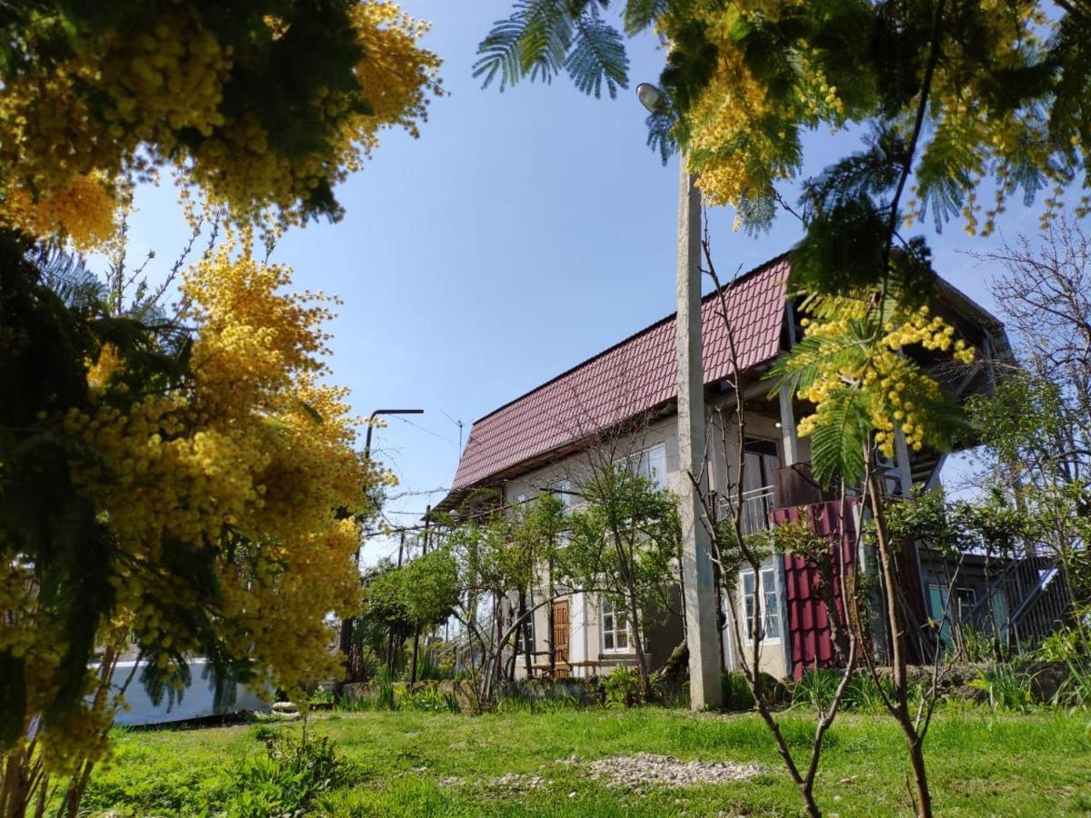 סוקהום Guest House Anna מראה חיצוני תמונה